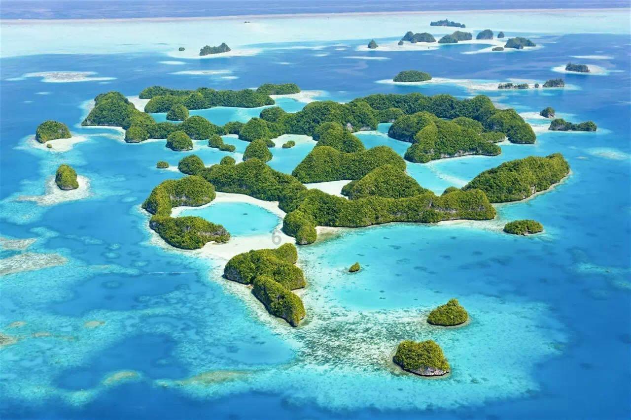 漆黑的森林逃脱